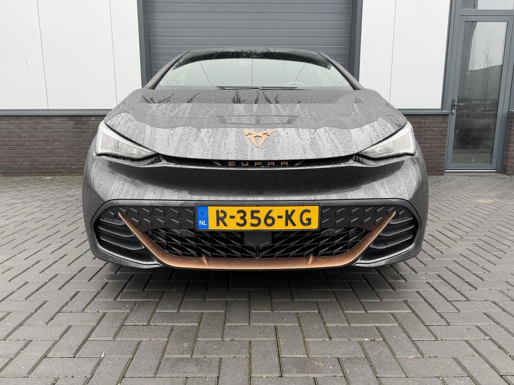 Hoofdafbeelding CUPRA Born