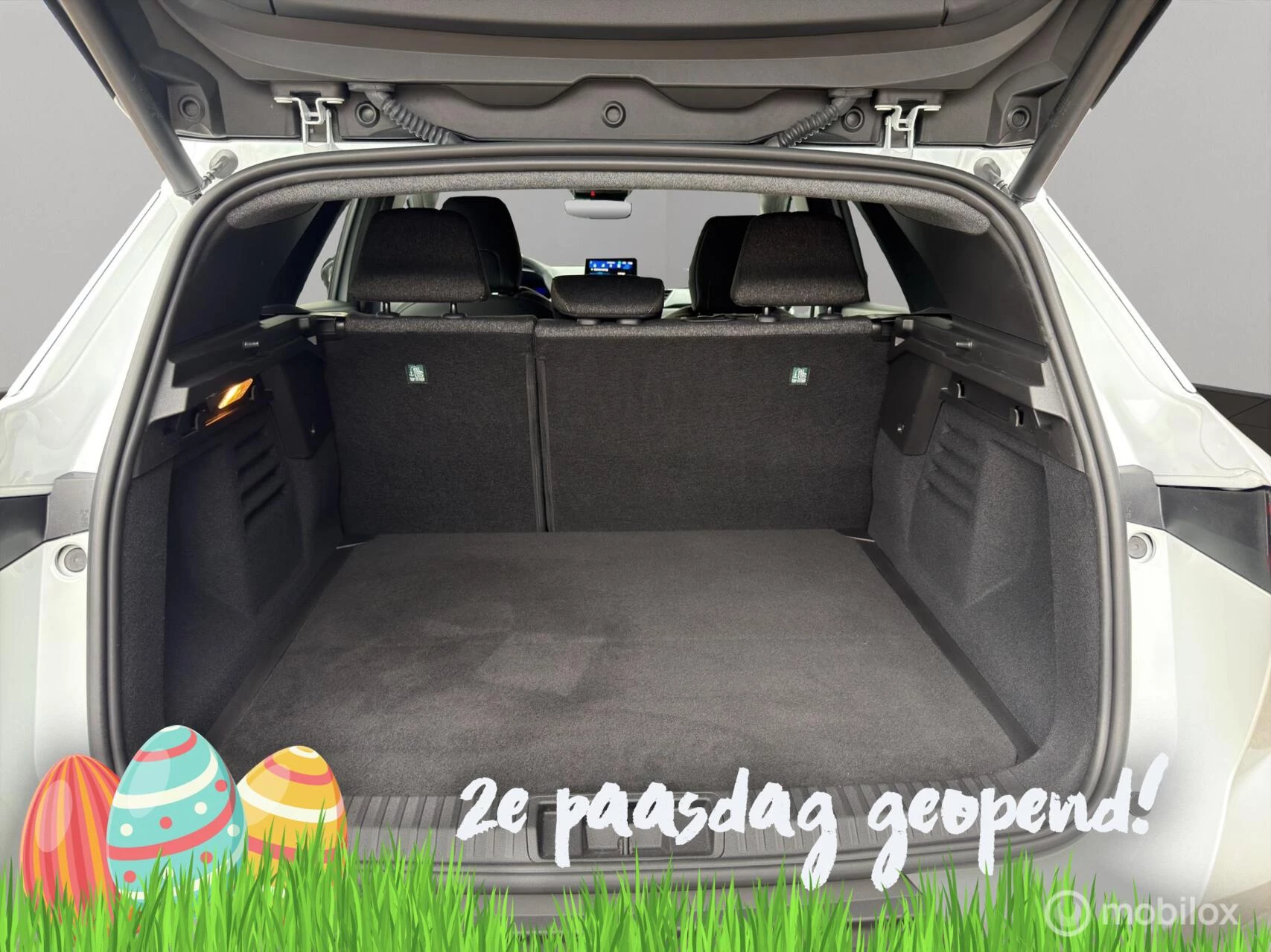 Hoofdafbeelding Renault Symbioz