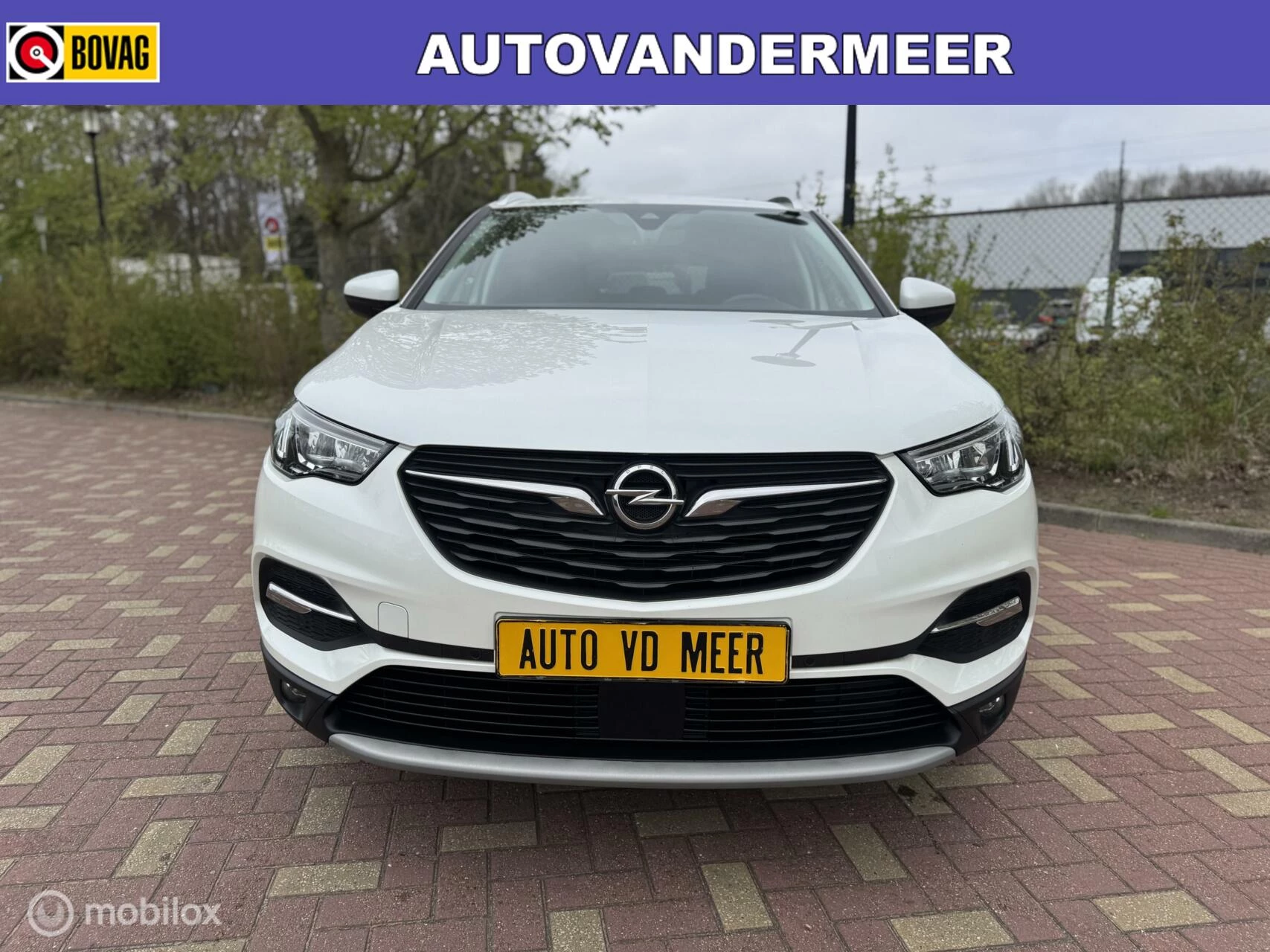 Hoofdafbeelding Opel Grandland X