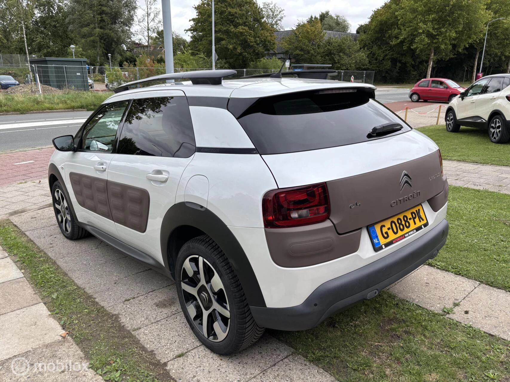 Hoofdafbeelding Citroën C4 Cactus