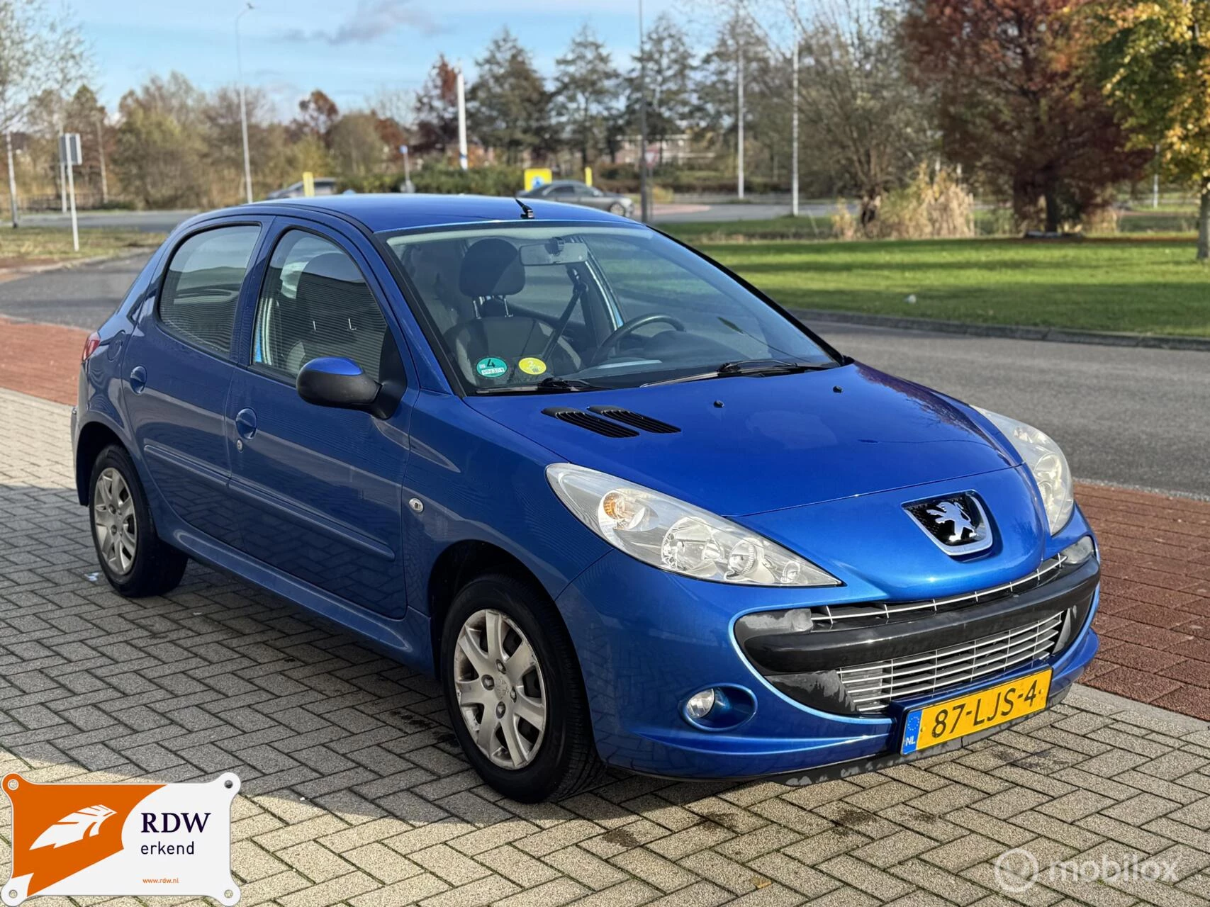 Hoofdafbeelding Peugeot 206