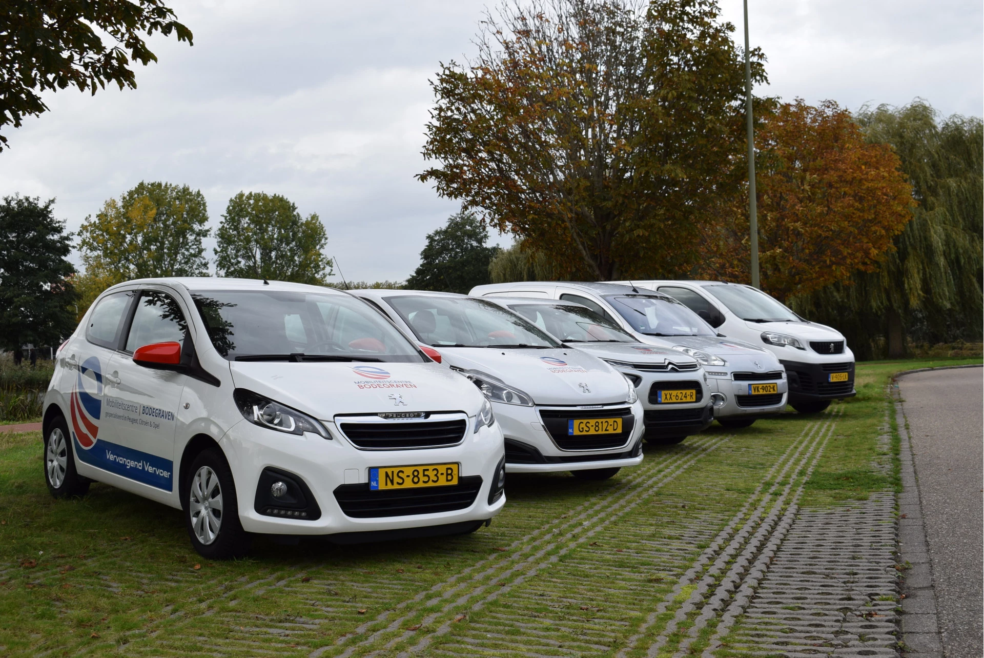 Hoofdafbeelding Opel Ampera-e