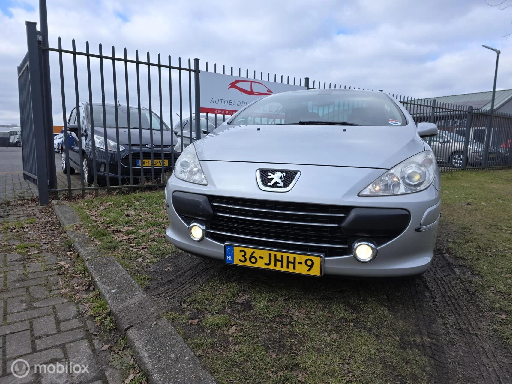 Hoofdafbeelding Peugeot 307