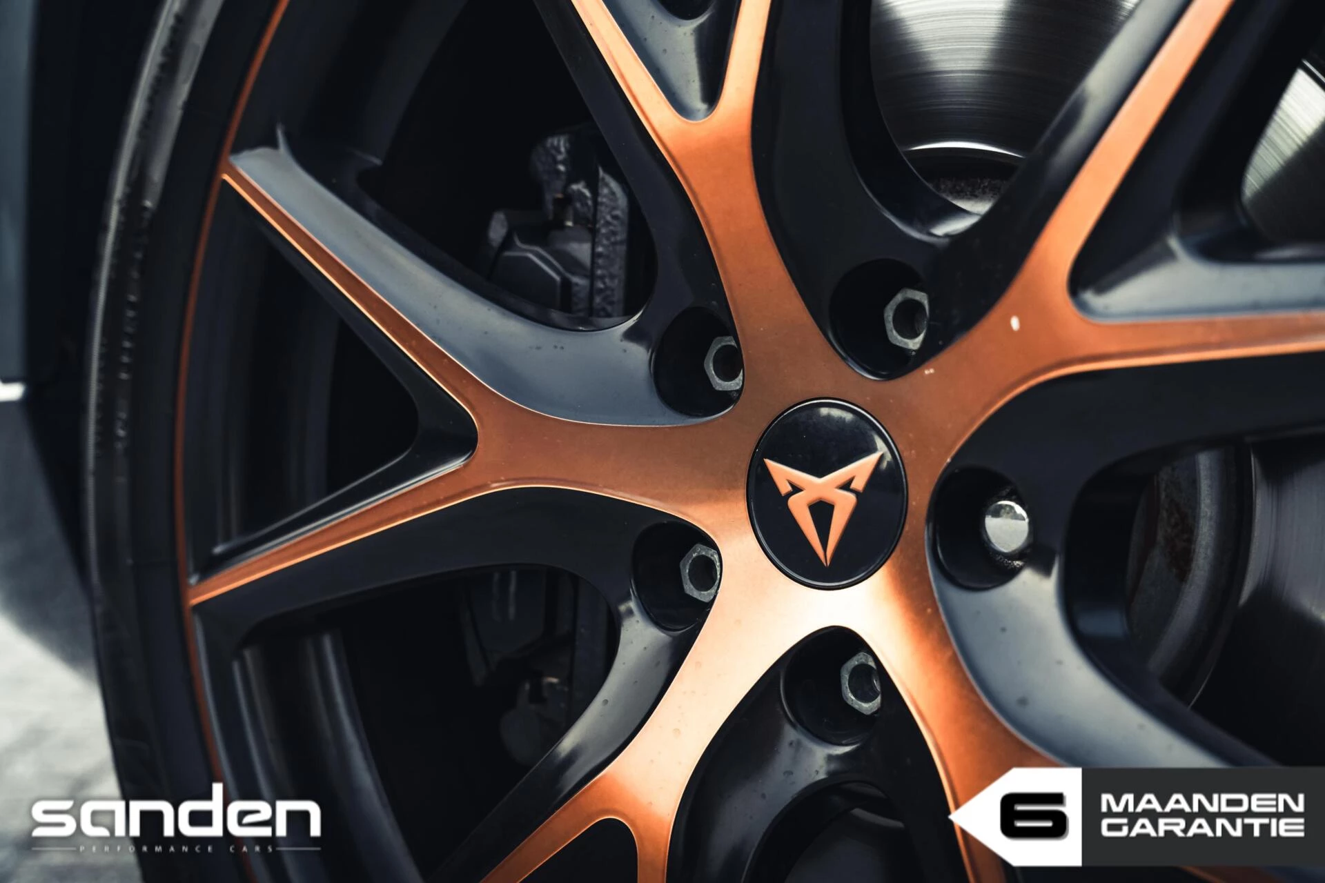 Hoofdafbeelding CUPRA Ateca