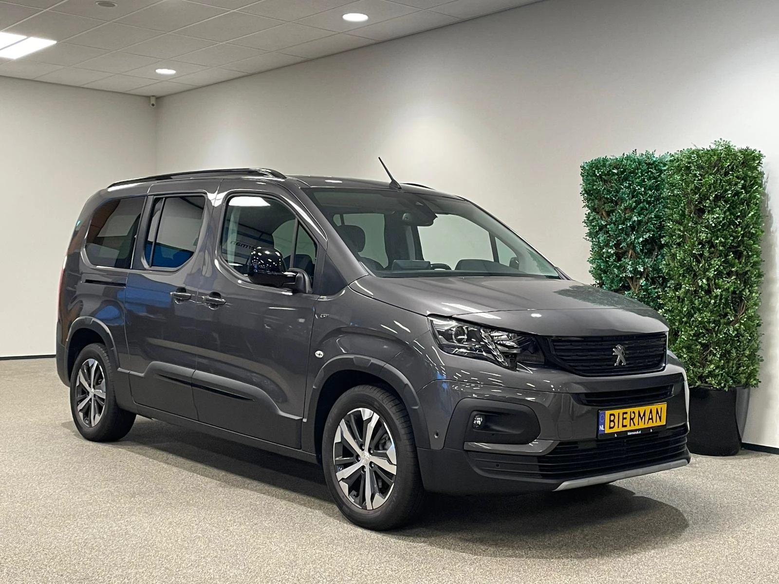 Hoofdafbeelding Peugeot e-Rifter