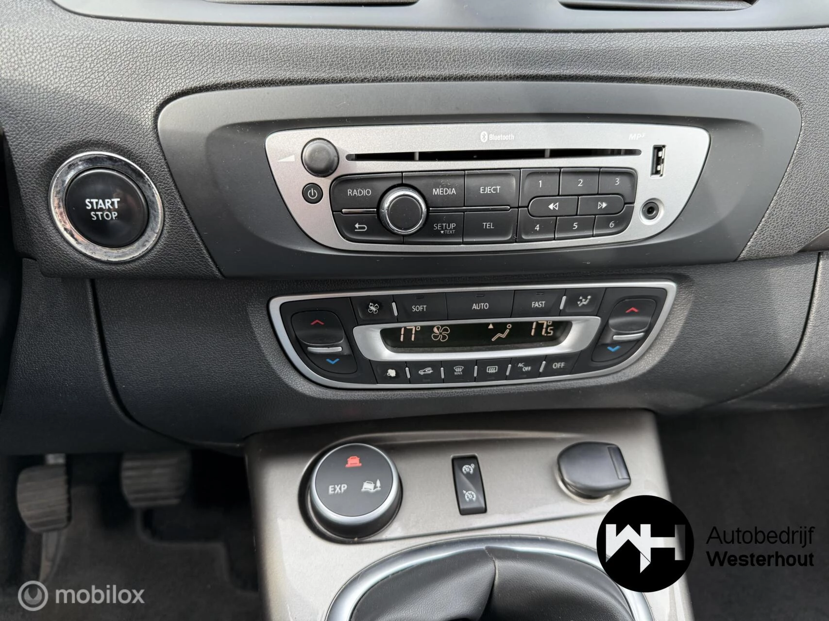 Hoofdafbeelding Renault Scénic