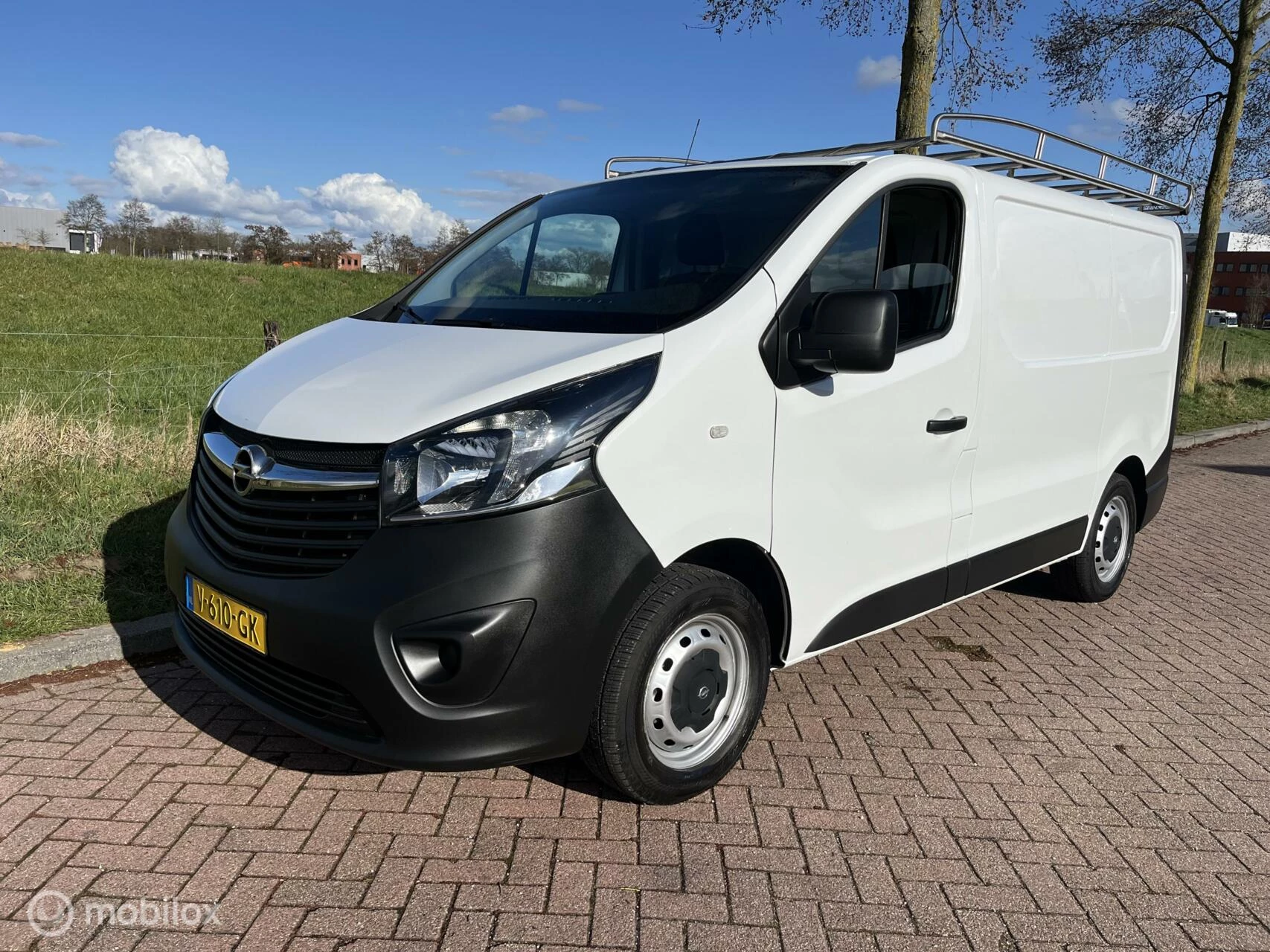 Hoofdafbeelding Opel Vivaro