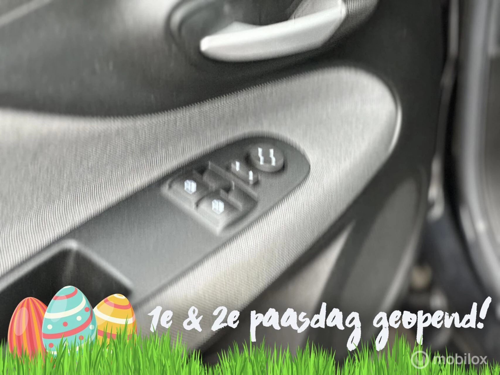 Hoofdafbeelding Fiat Punto