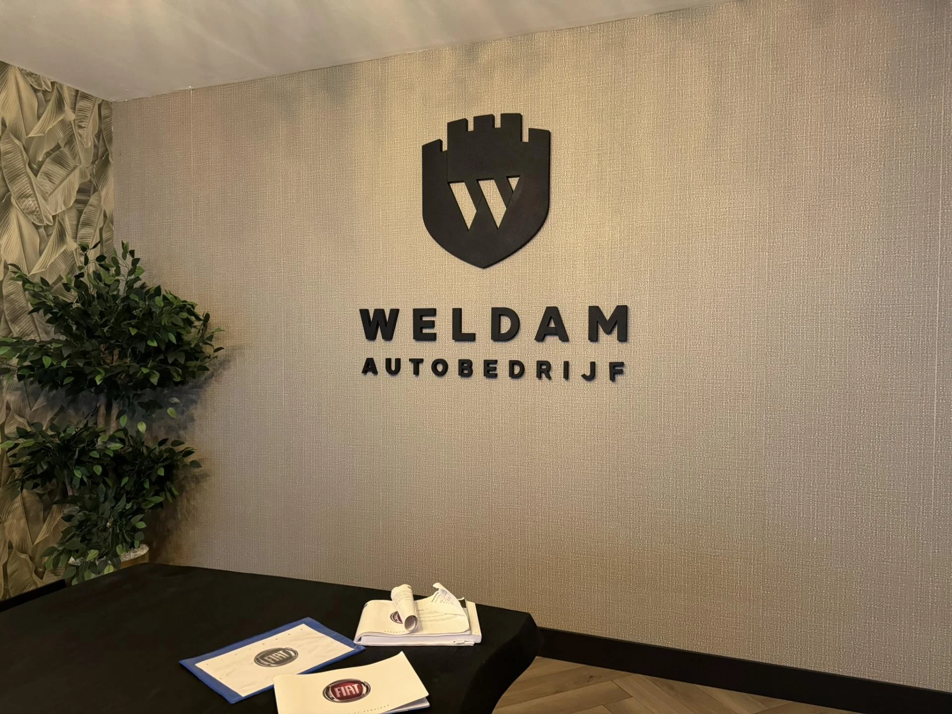 Hoofdafbeelding Fiat 500X