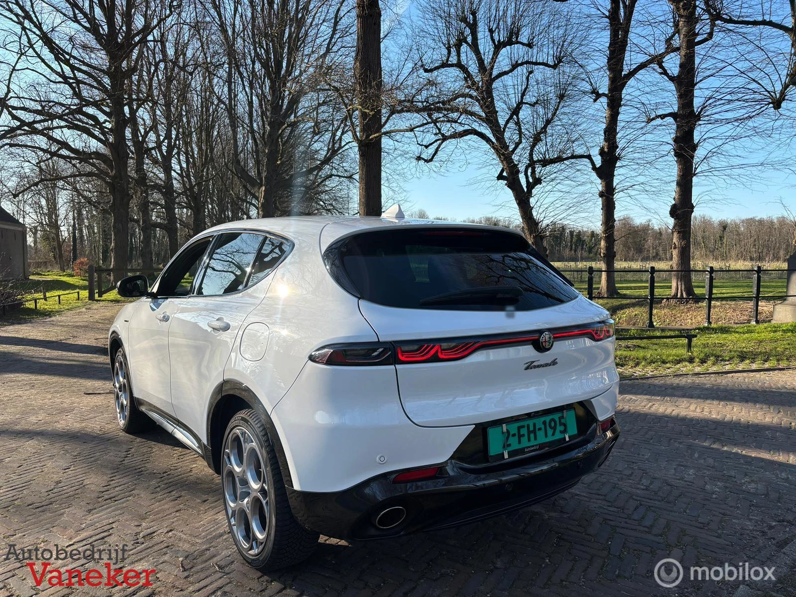 Hoofdafbeelding Alfa Romeo Tonale