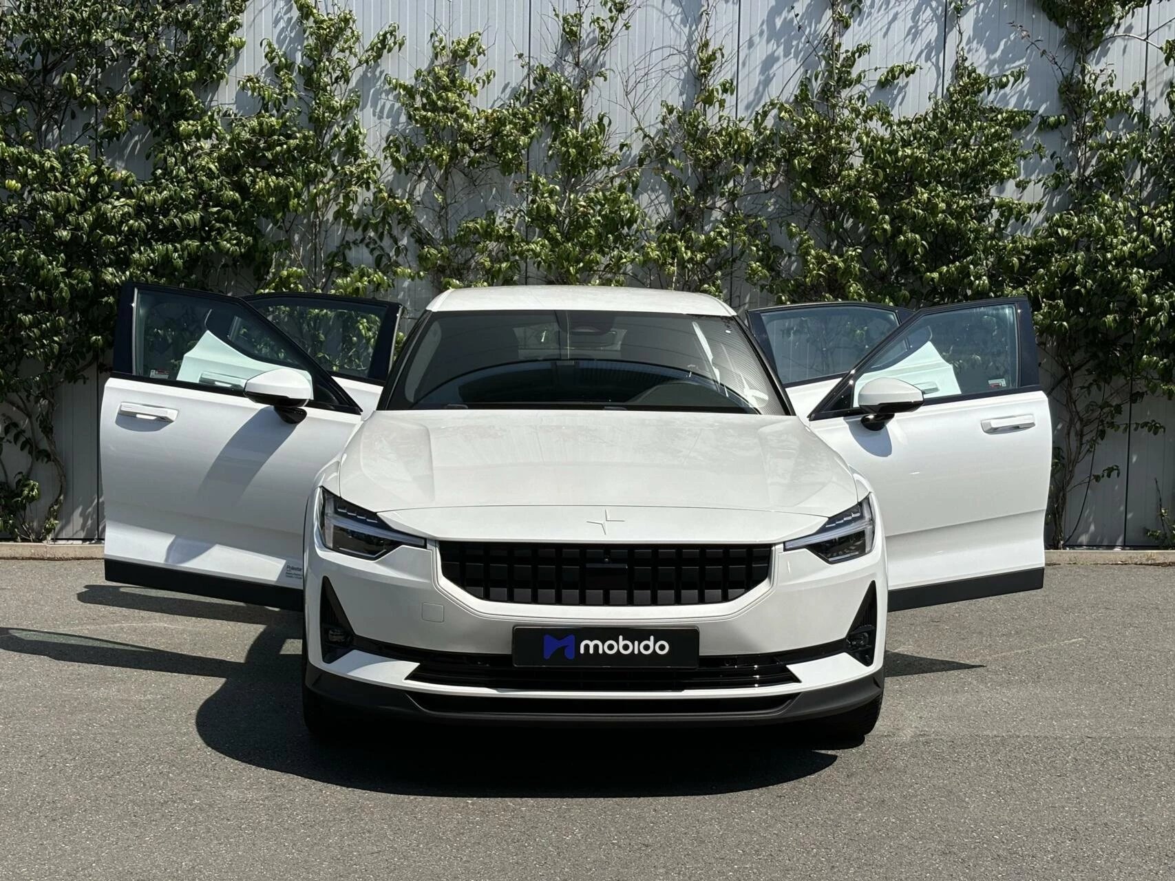 Hoofdafbeelding Polestar 2