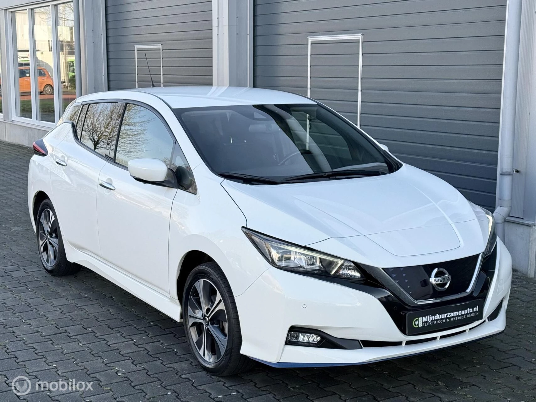 Hoofdafbeelding Nissan Leaf