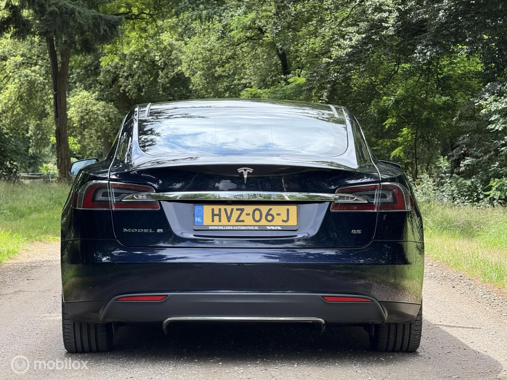 Hoofdafbeelding Tesla Model S