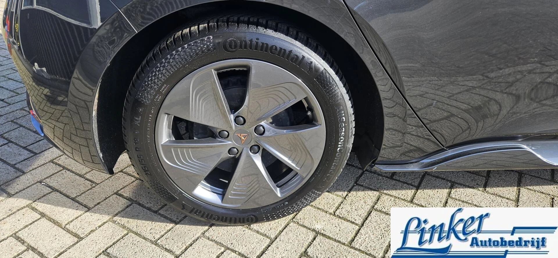 Hoofdafbeelding CUPRA Born