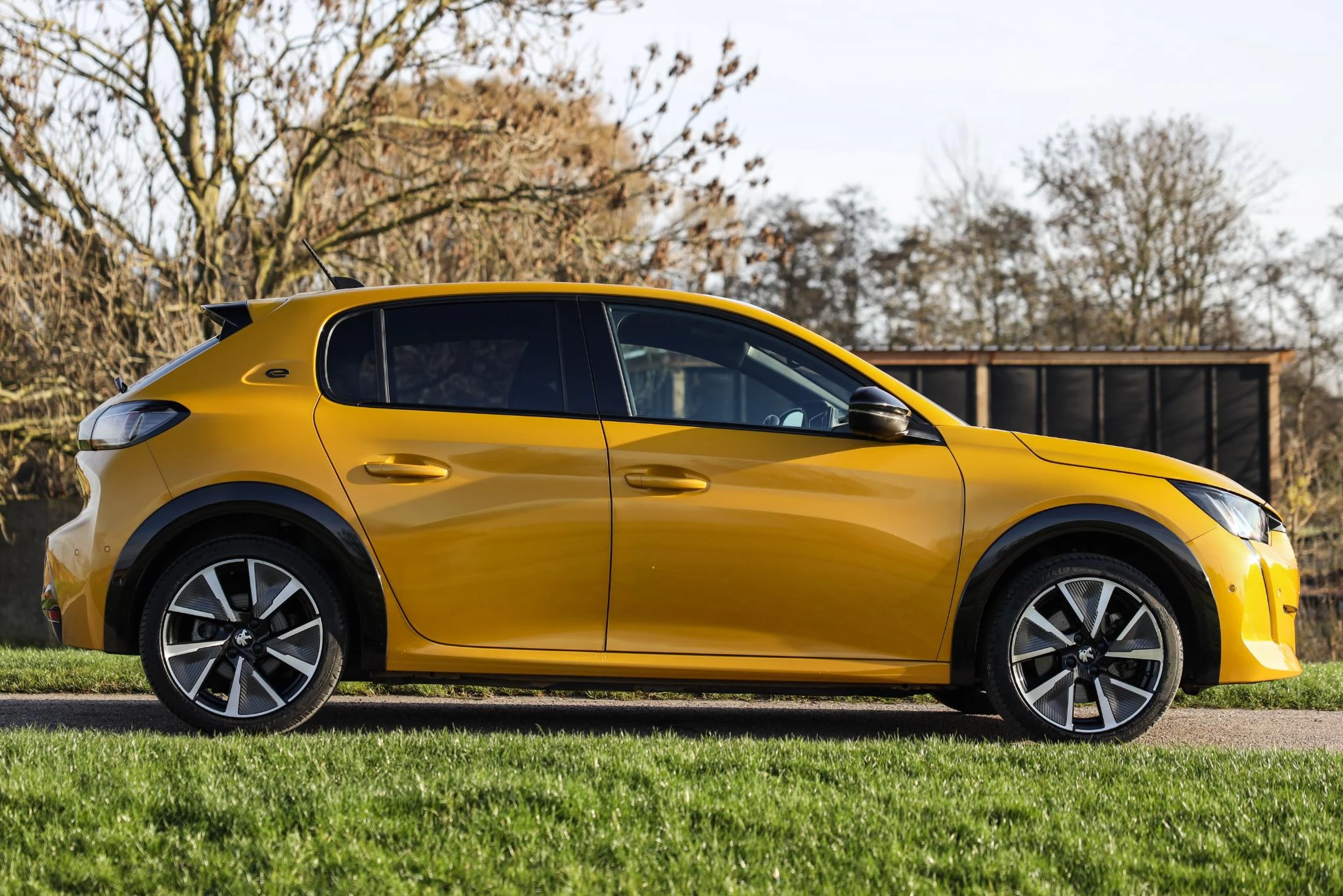 Hoofdafbeelding Peugeot e-208