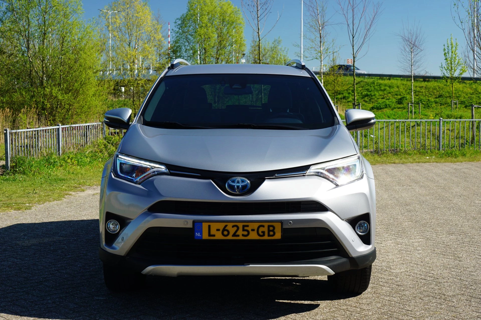 Hoofdafbeelding Toyota RAV4