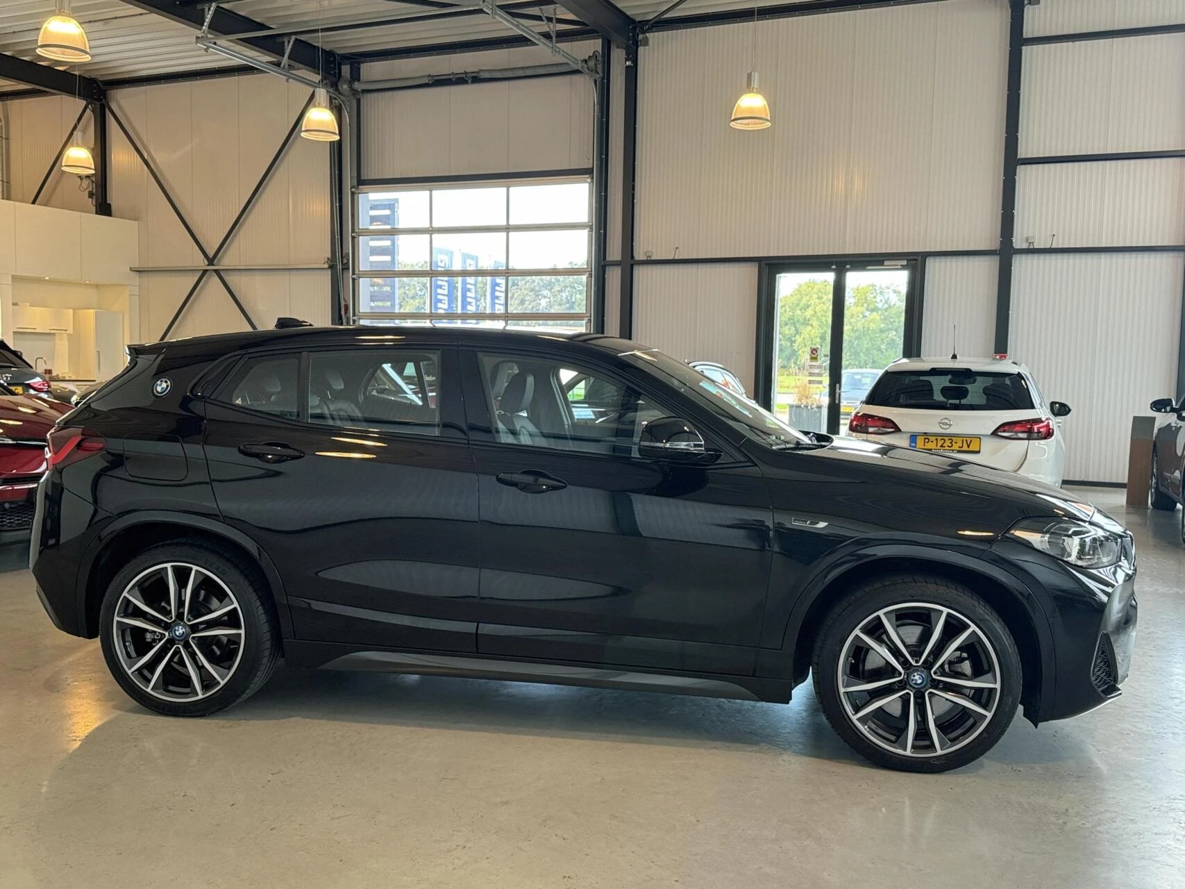 Hoofdafbeelding BMW X2