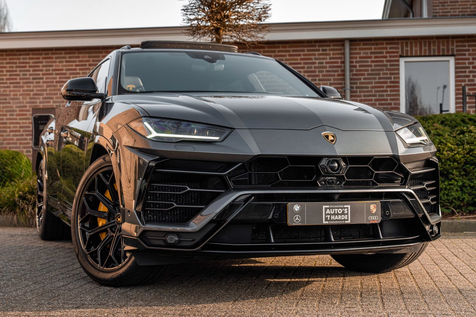 Hoofdafbeelding Lamborghini Urus
