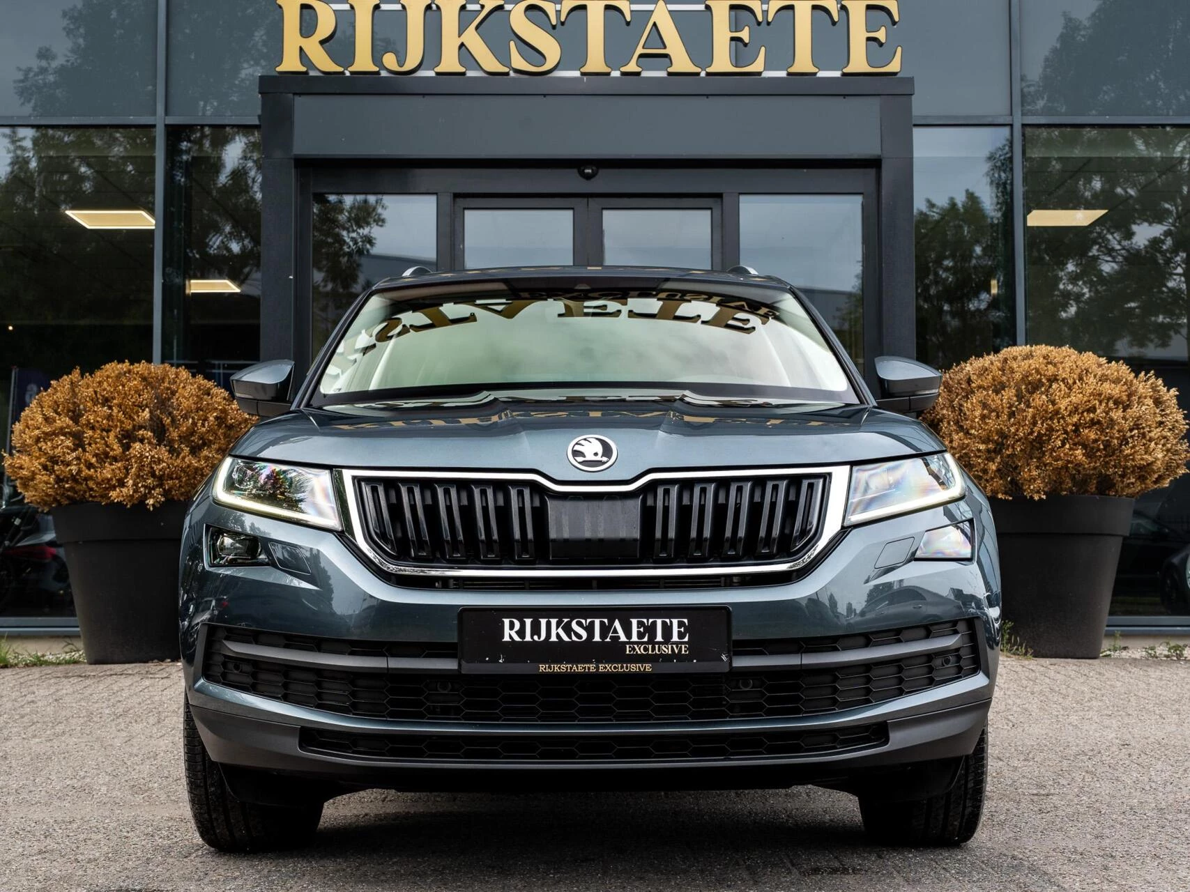 Hoofdafbeelding Škoda Kodiaq
