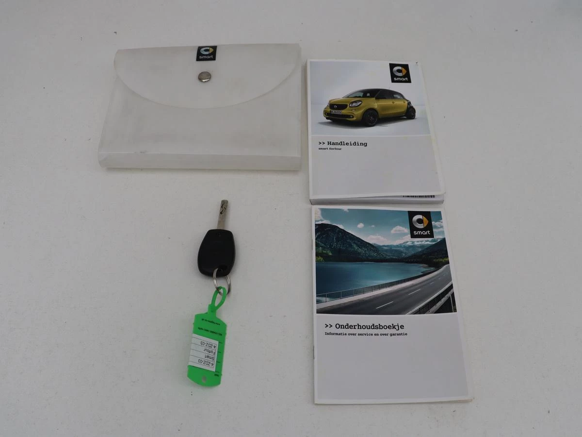 Hoofdafbeelding smart Forfour