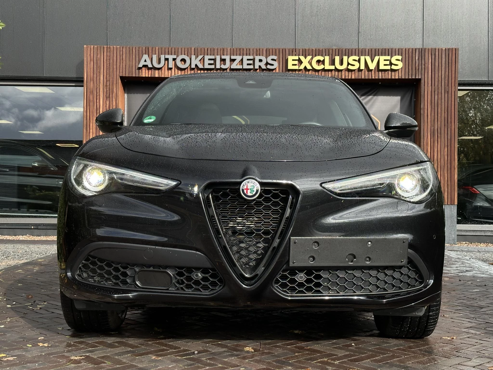 Hoofdafbeelding Alfa Romeo Stelvio