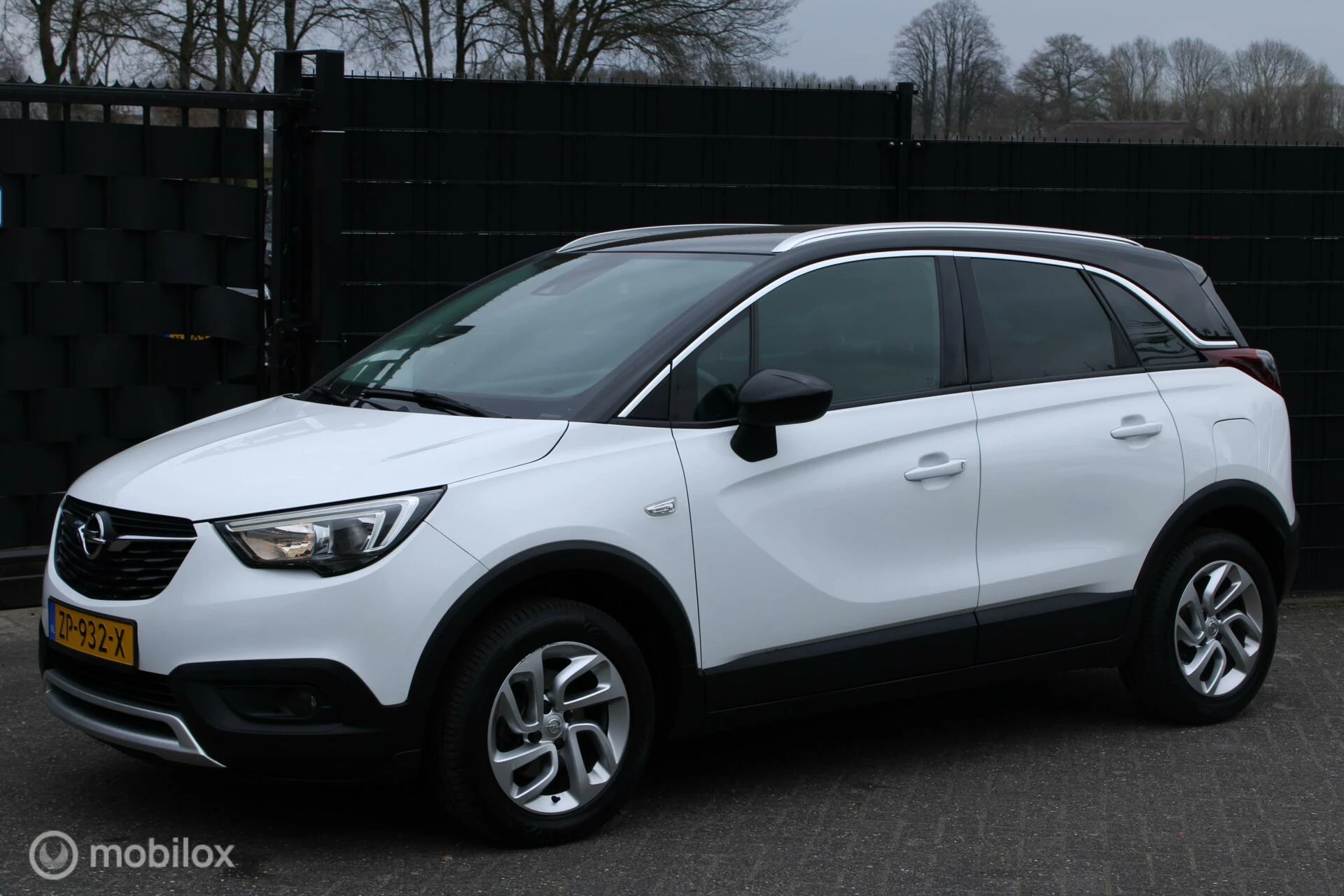 Hoofdafbeelding Opel Crossland X