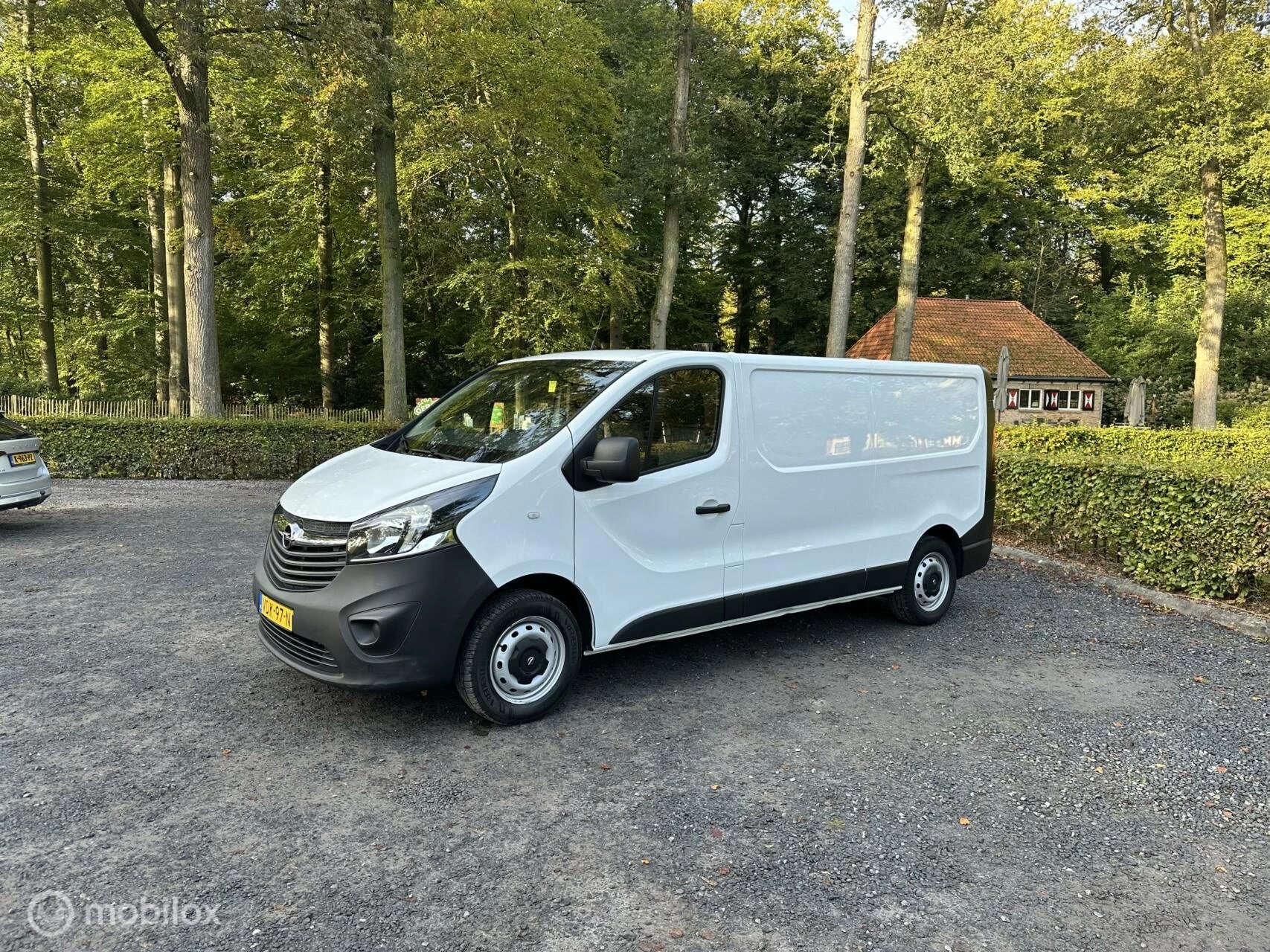 Hoofdafbeelding Opel Vivaro