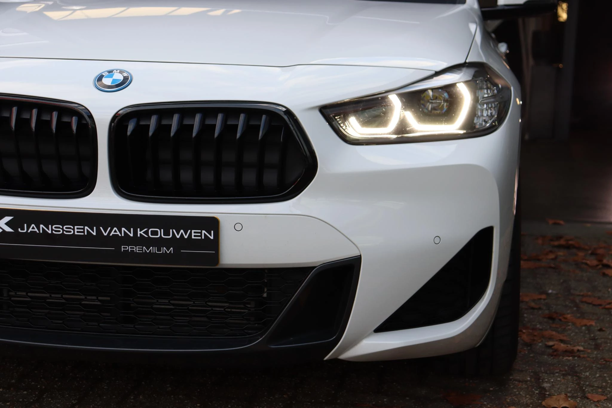 Hoofdafbeelding BMW X2