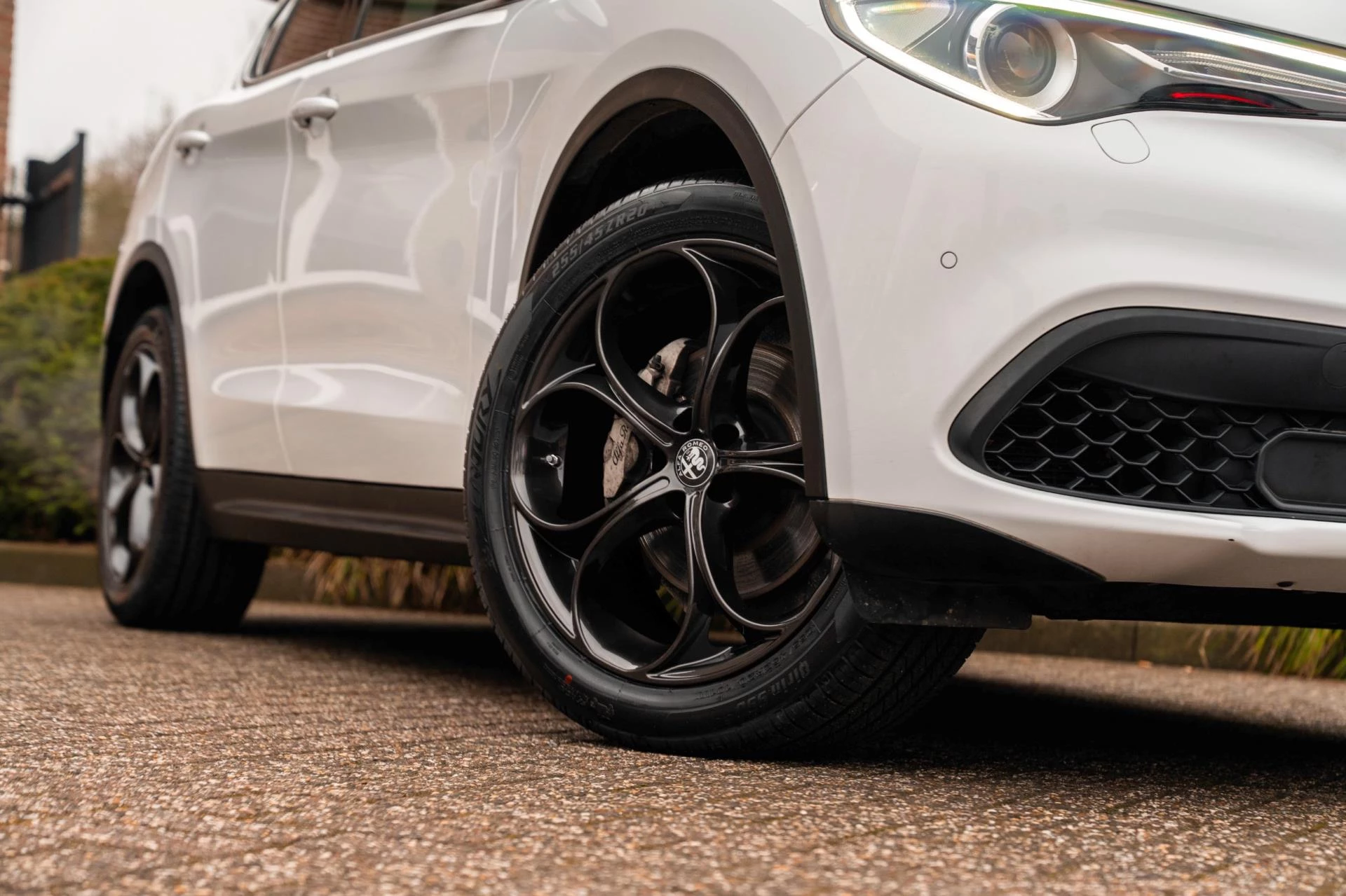 Hoofdafbeelding Alfa Romeo Stelvio