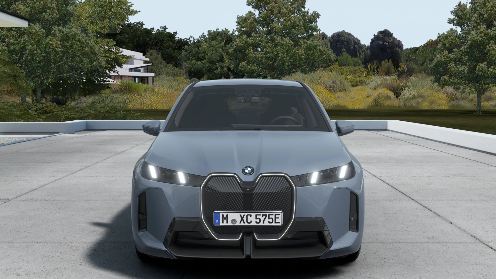 Hoofdafbeelding BMW iX