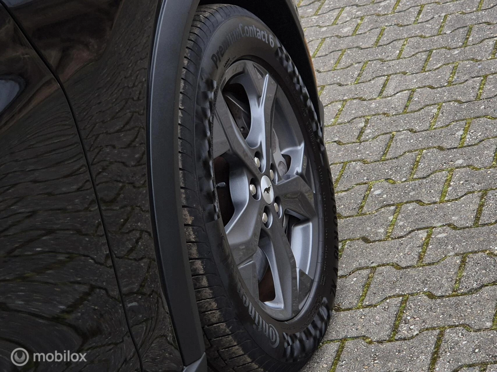 Hoofdafbeelding Ford Mustang Mach-E