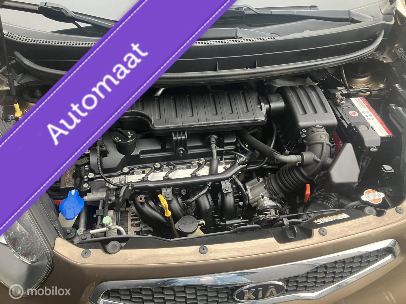 Hoofdafbeelding Kia Picanto