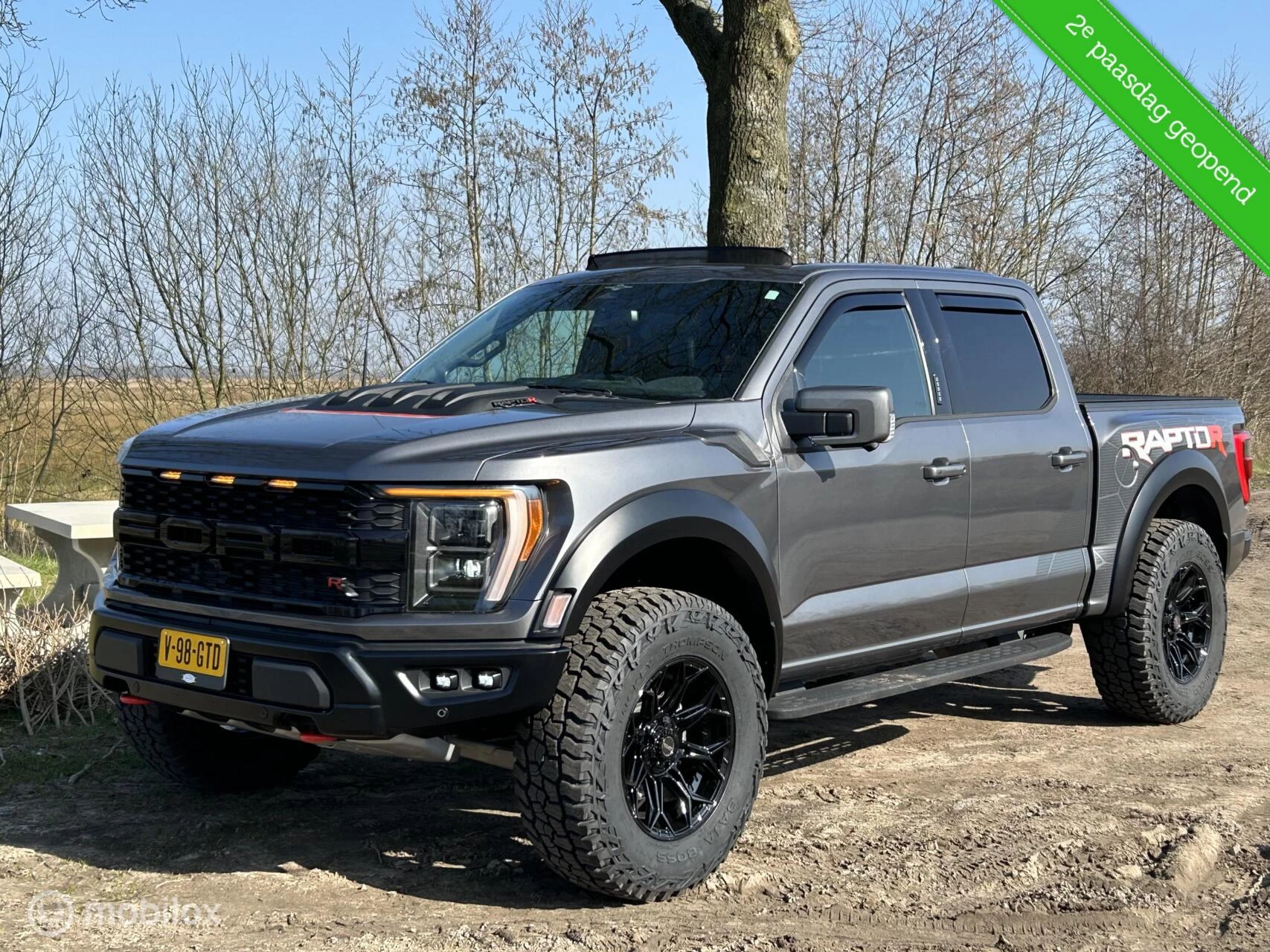Hoofdafbeelding Ford F-150