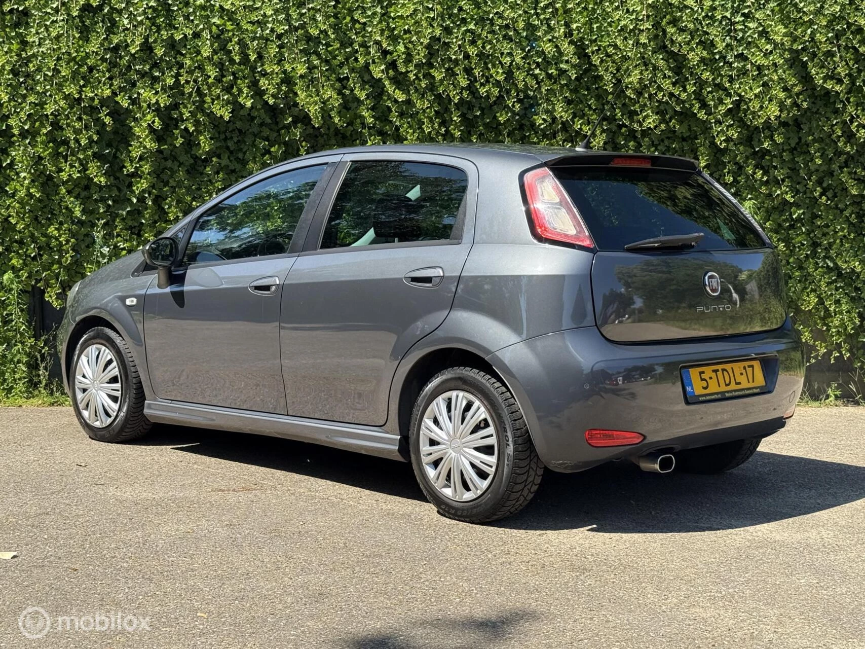 Hoofdafbeelding Fiat Punto