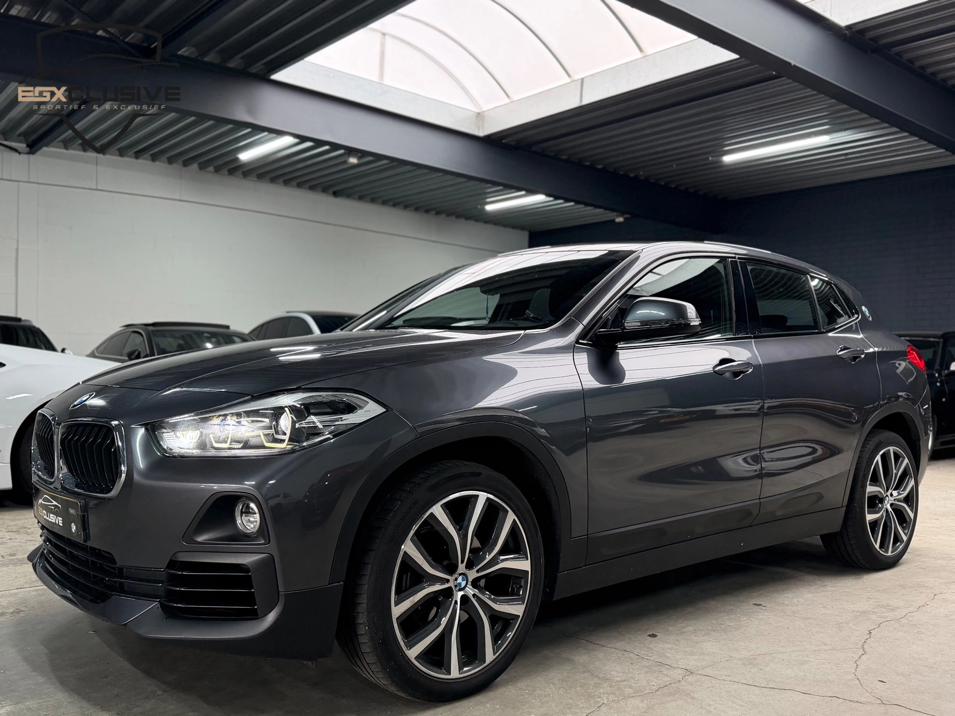 Hoofdafbeelding BMW X2