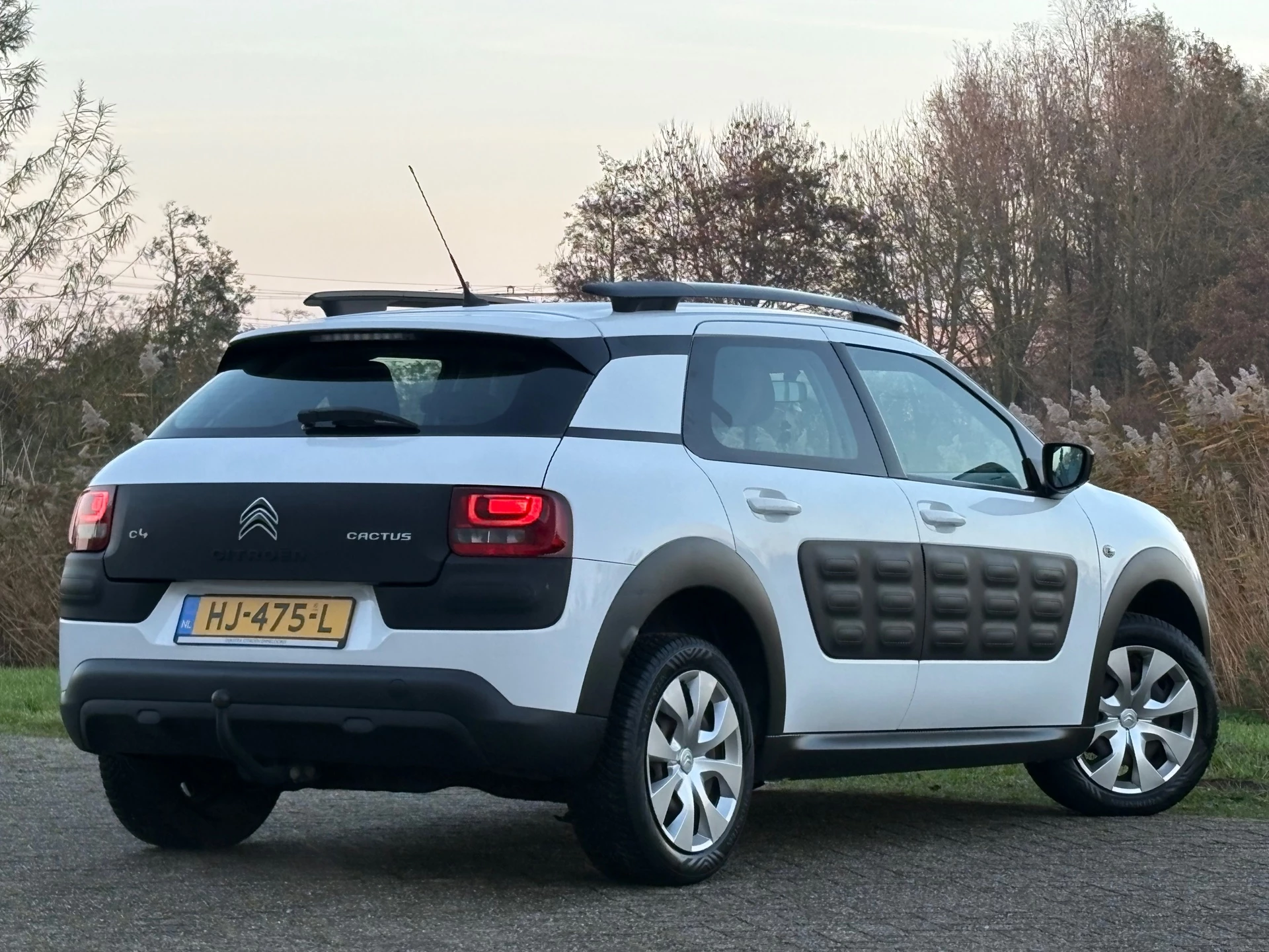 Hoofdafbeelding Citroën C4 Cactus