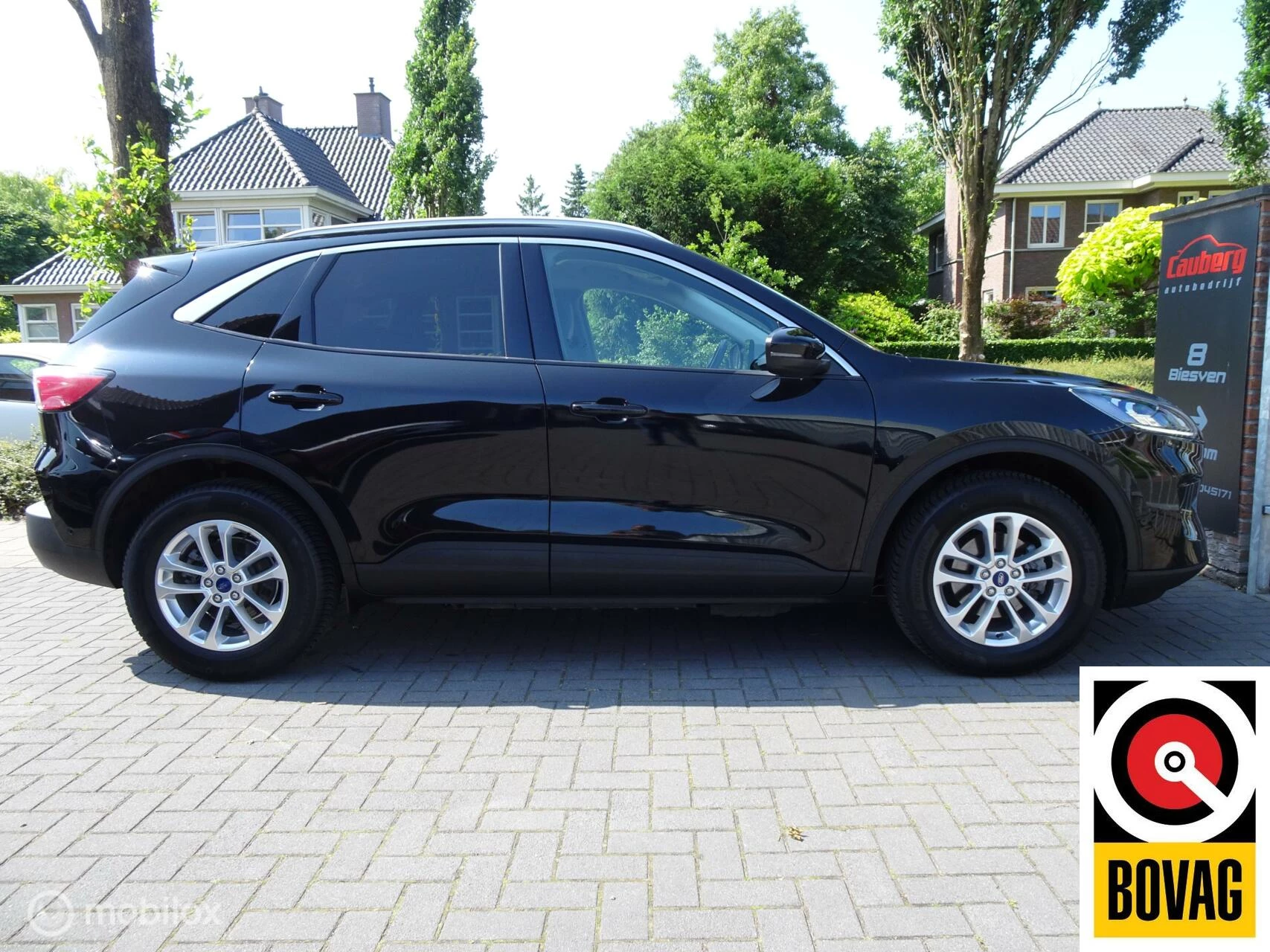Hoofdafbeelding Ford Kuga
