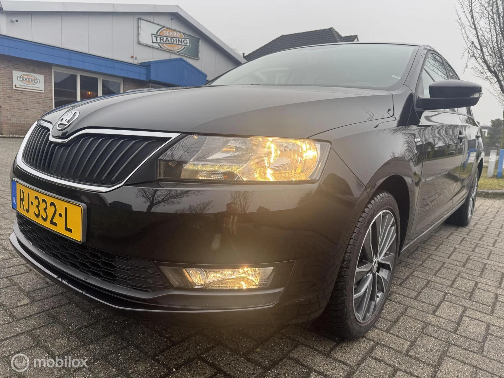 Hoofdafbeelding Škoda Rapid