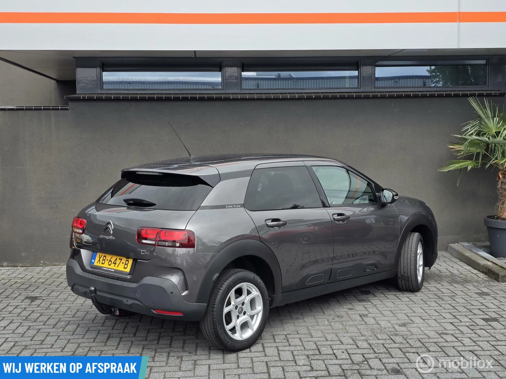 Hoofdafbeelding Citroën C4 Cactus