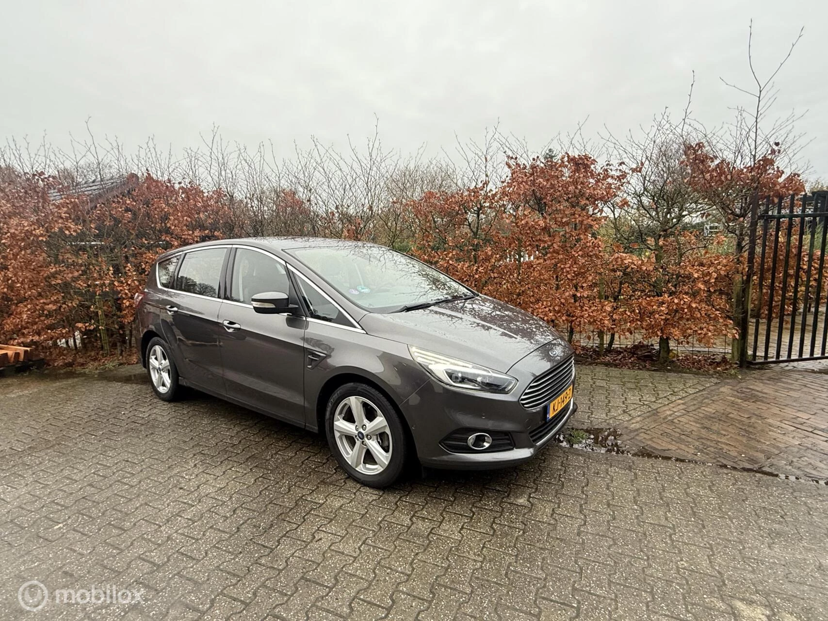 Hoofdafbeelding Ford S-Max