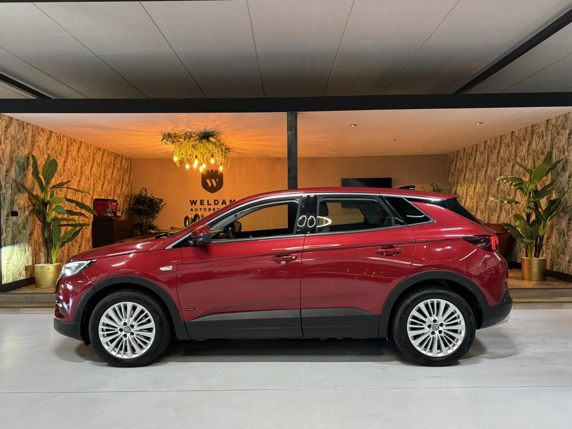 Hoofdafbeelding Opel Grandland X