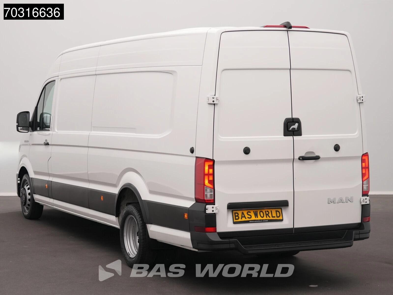 Hoofdafbeelding MAN TGE