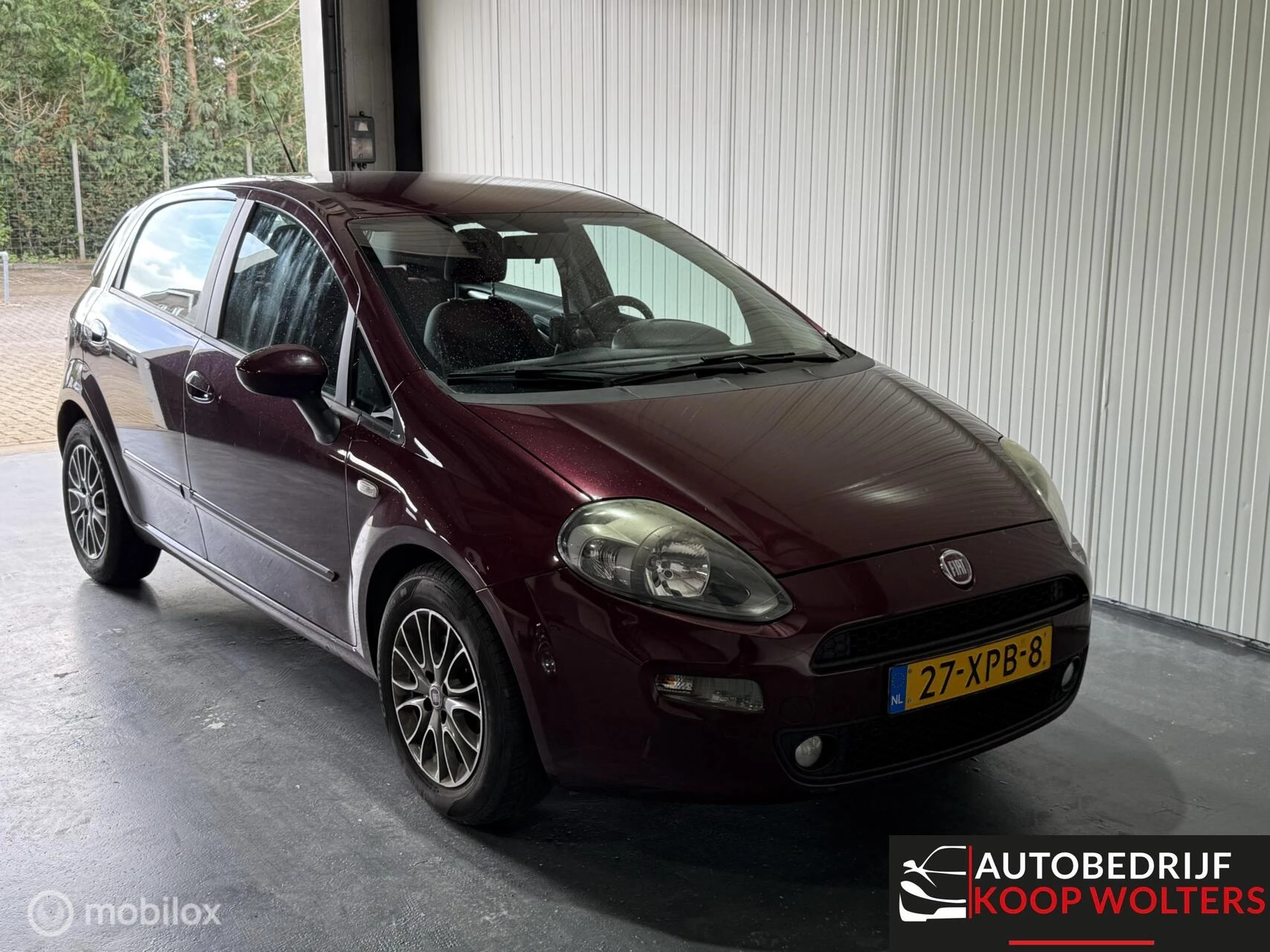 Hoofdafbeelding Fiat Punto