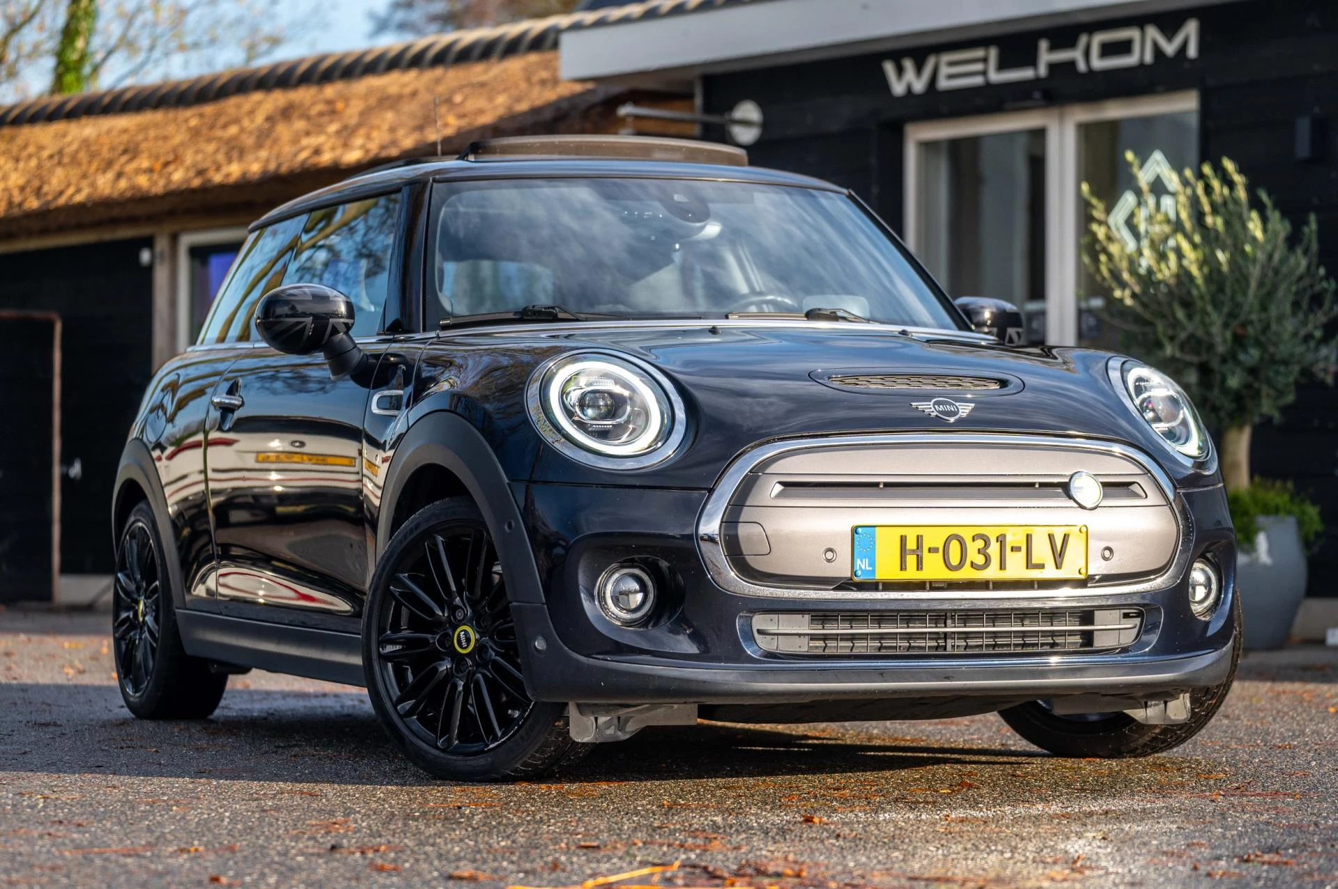 Hoofdafbeelding MINI Electric