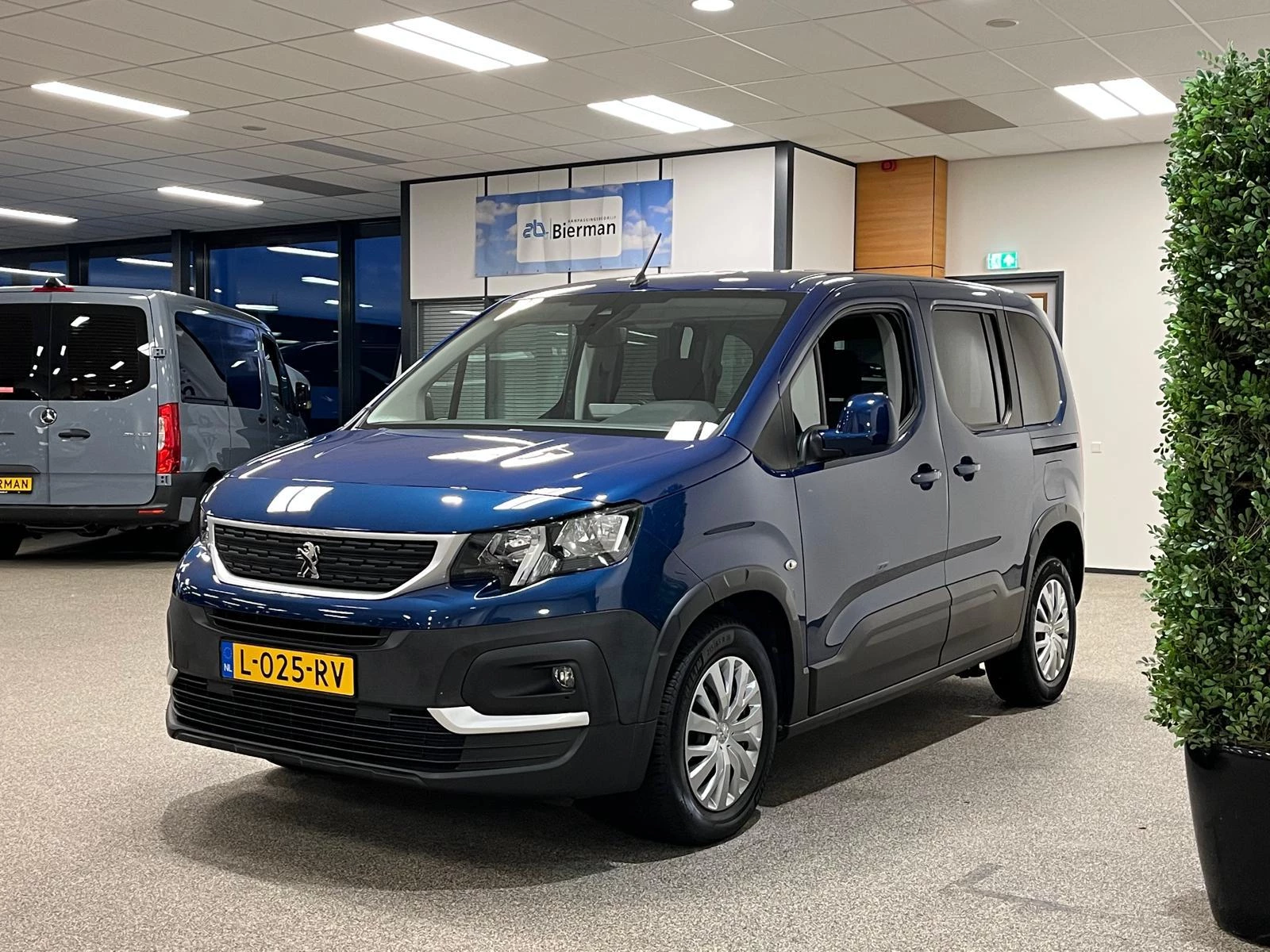 Hoofdafbeelding Peugeot Rifter