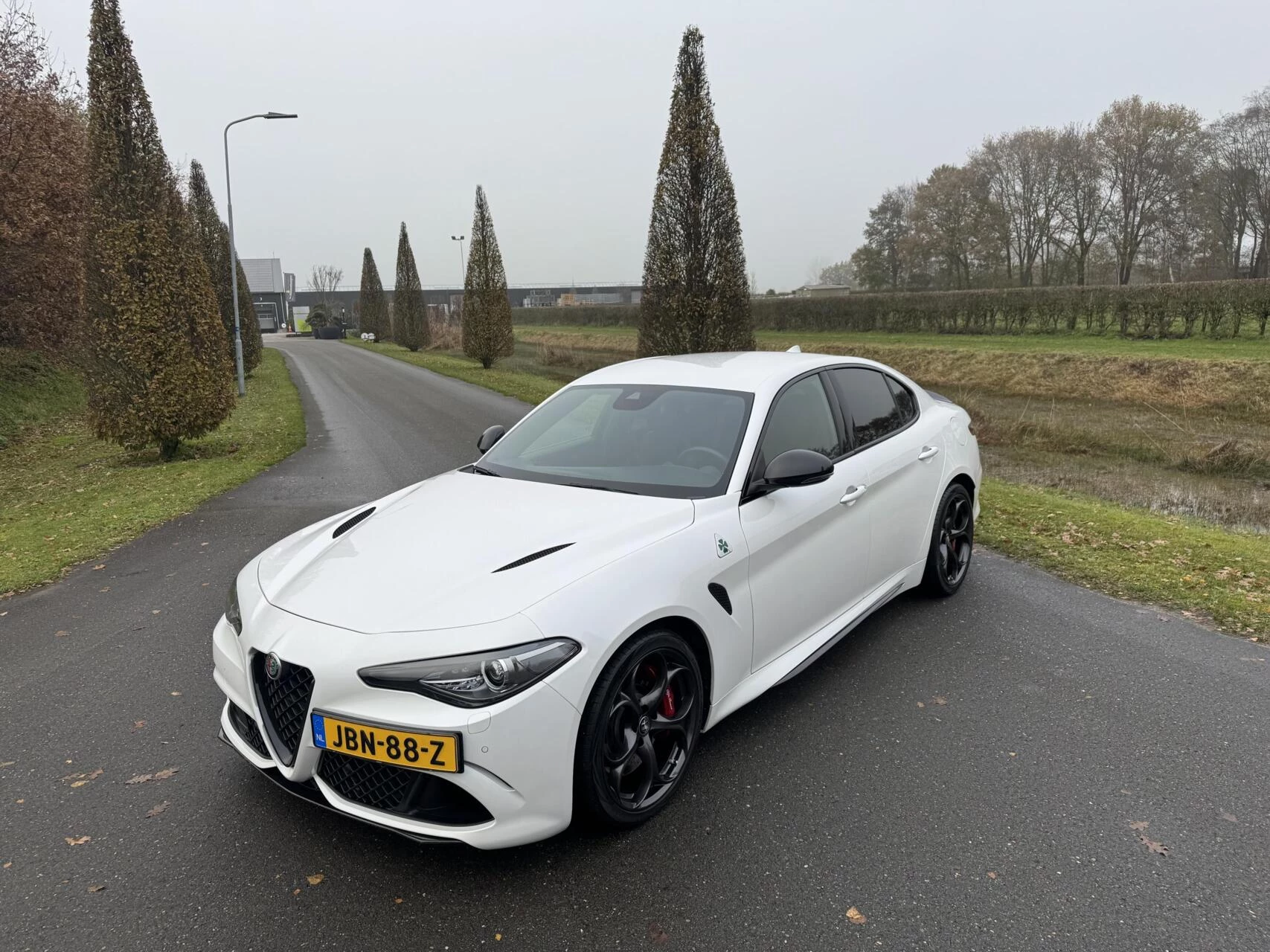 Hoofdafbeelding Alfa Romeo Giulia