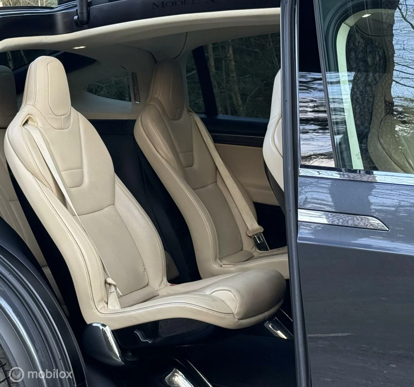 Hoofdafbeelding Tesla Model X
