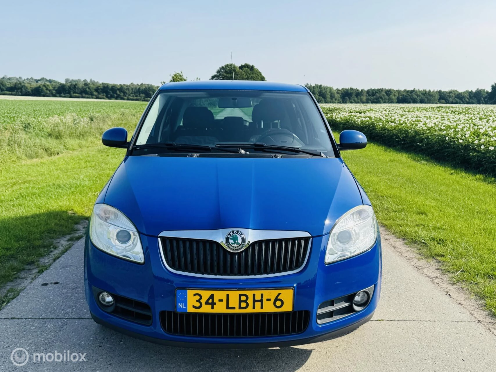 Hoofdafbeelding Škoda Fabia