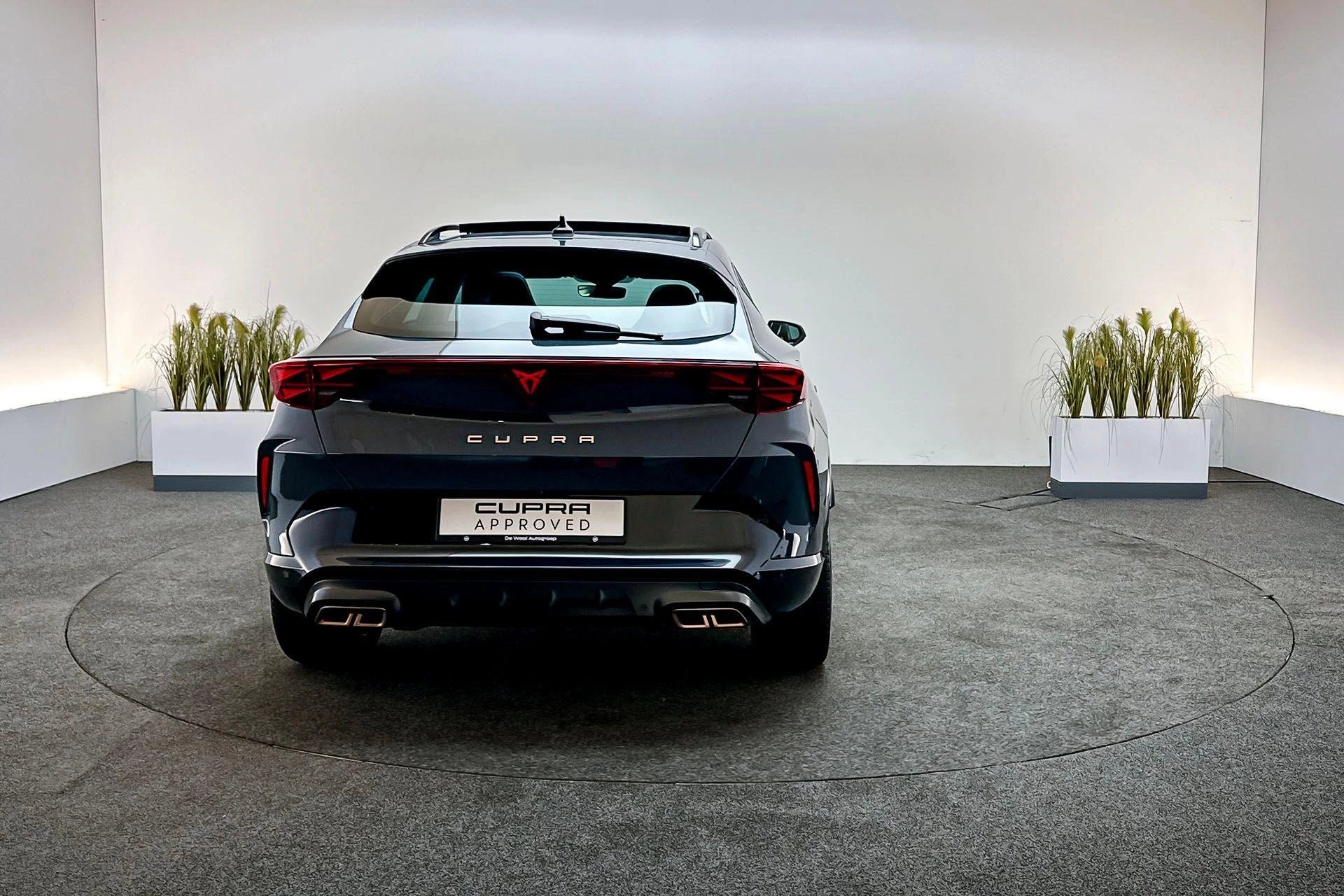 Hoofdafbeelding CUPRA Formentor