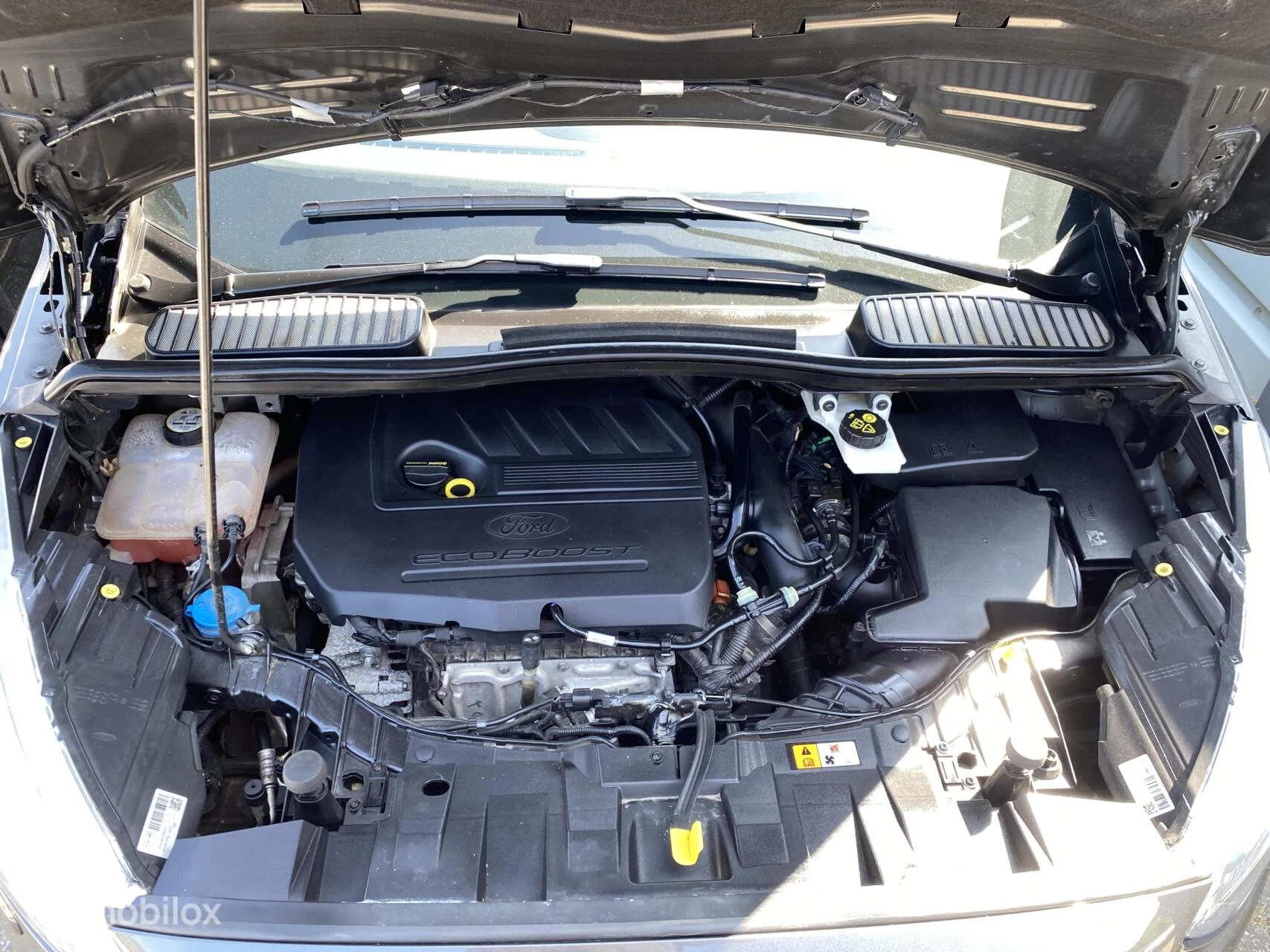 Hoofdafbeelding Ford C-MAX